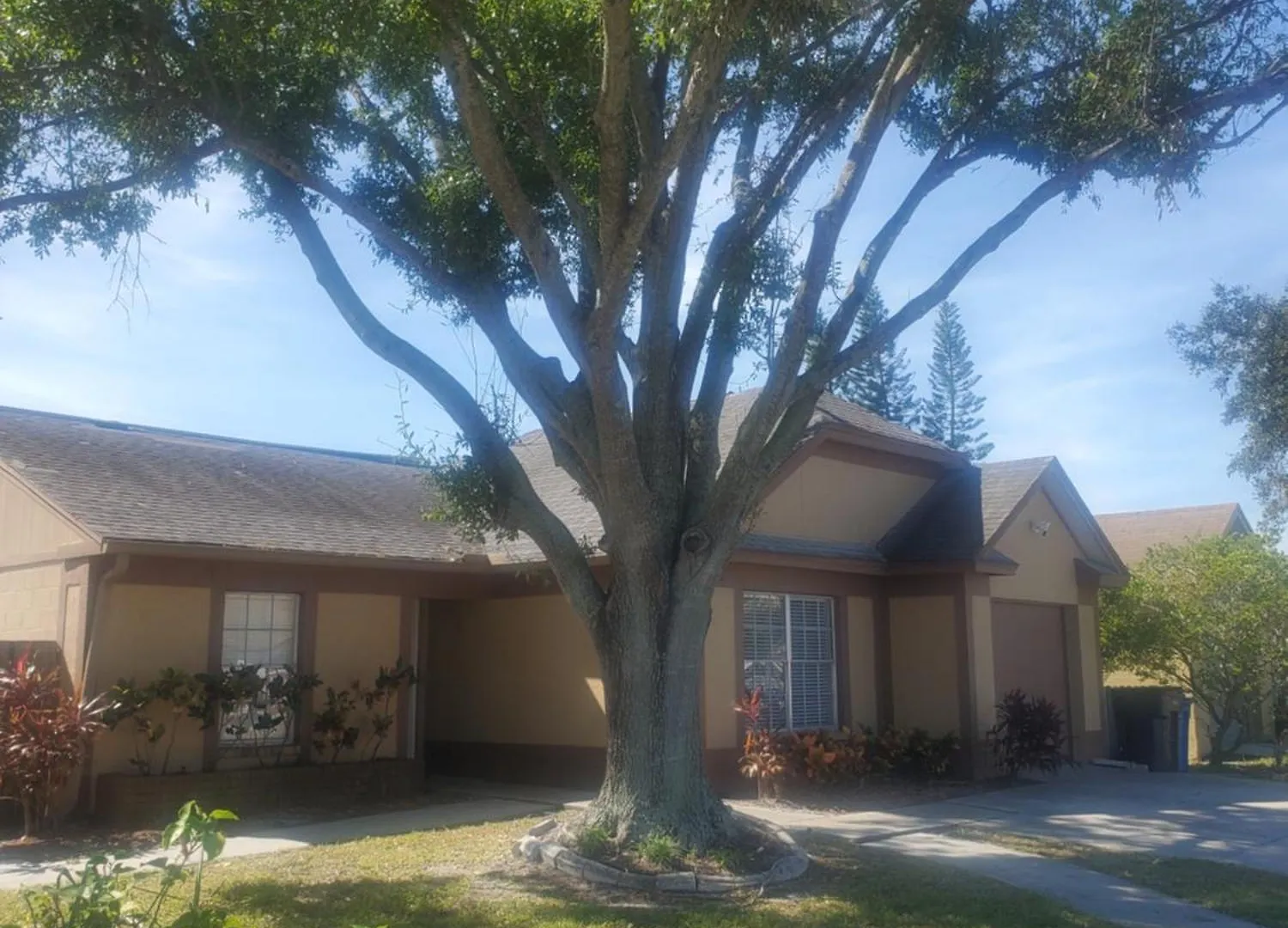 Corner Villa Tampa Holiday home