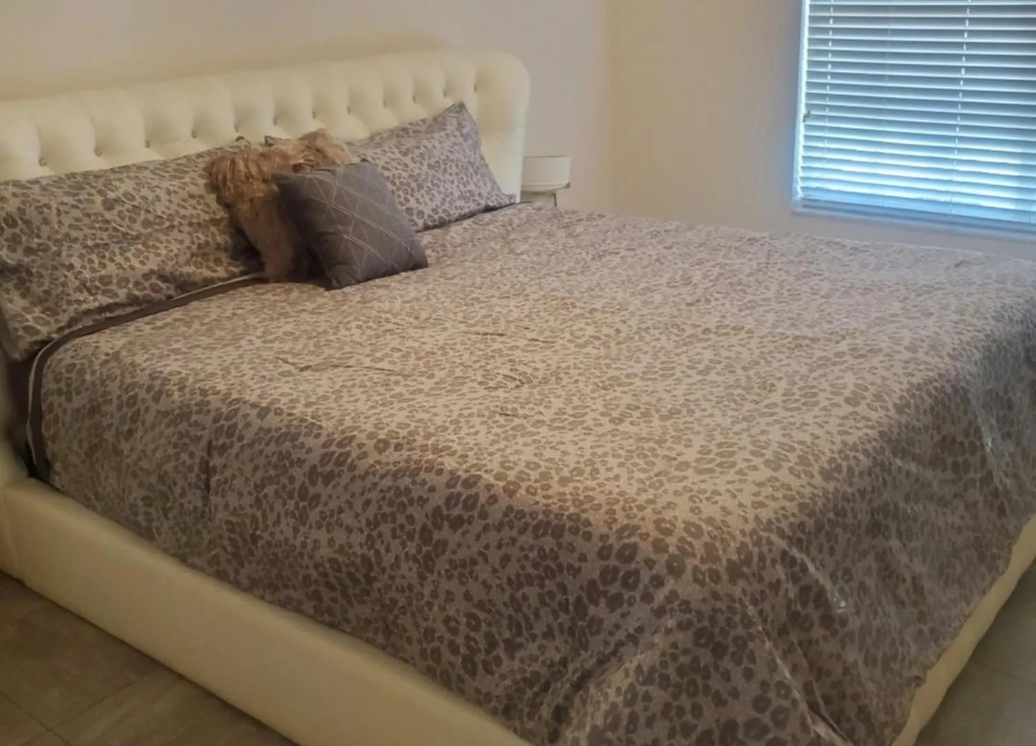 Prázdninový dům Corner Villa Tampa USA